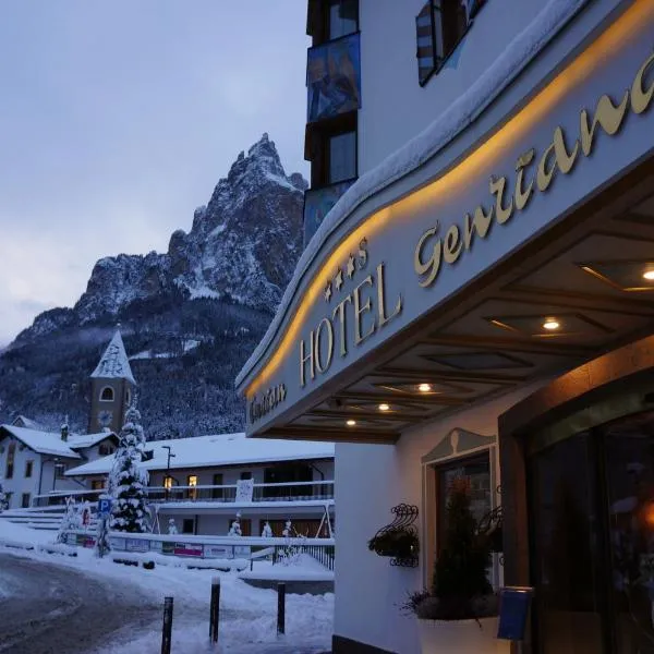 Hotel Enzian，位于修希的酒店