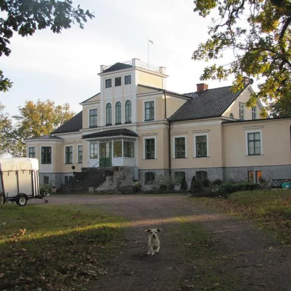 尼加兹乡村庄园住宿加早餐酒店，位于Blomstermåla的酒店