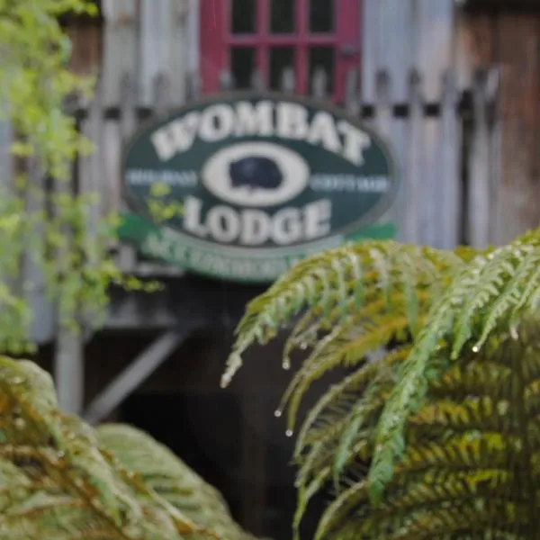 The Wombat Cottage，位于Rosebery的酒店