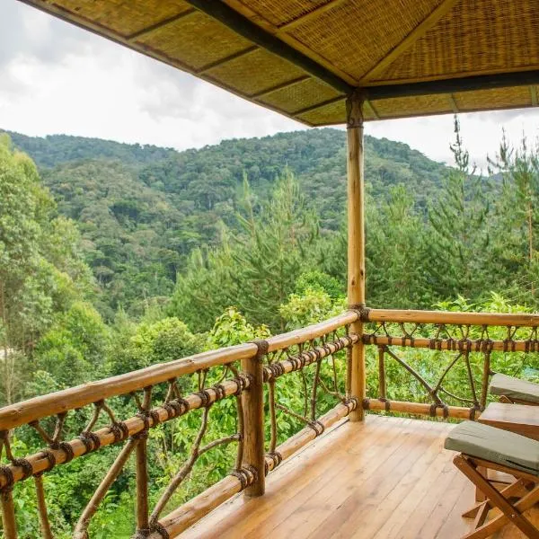 Ichumbi Gorilla Lodge，位于Nyalutembe的酒店