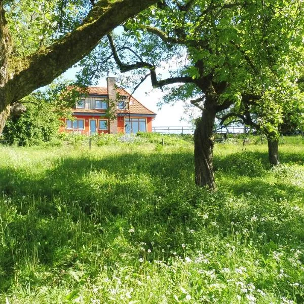 Kleine Villa im wilden Garten，位于恩格尔斯基兴的酒店