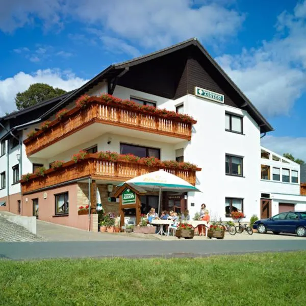 Hotel Garni Assion，位于Niederehe的酒店