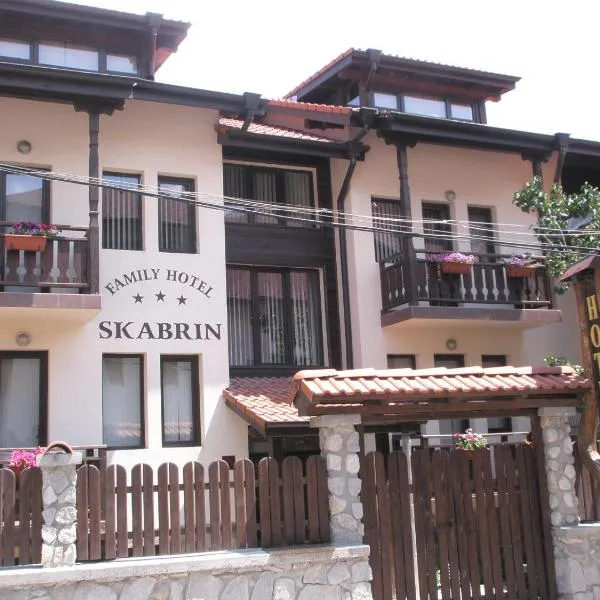 Guest house Skabrin，位于班斯科的酒店