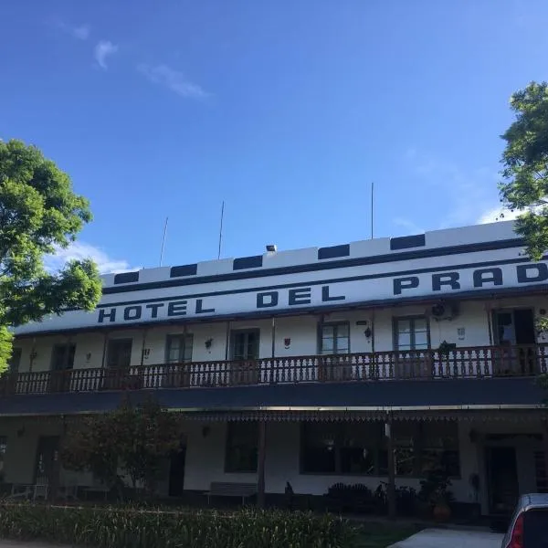 Hotel del Prado，位于新埃尔韦西亚的酒店