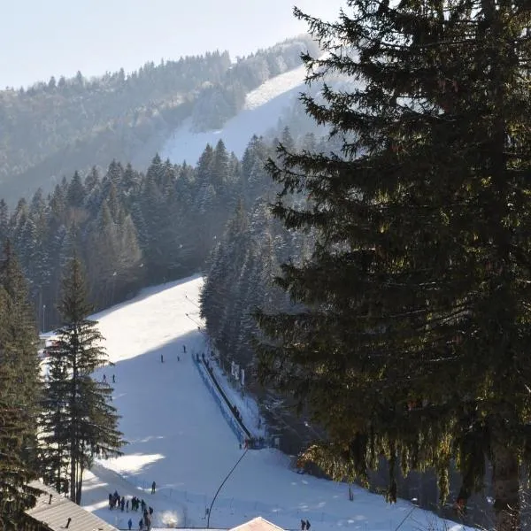 Garden Apart，位于普雷代亚尔的酒店