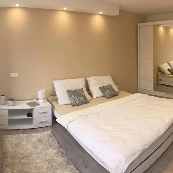 Apartmán U Zlaté hroudy，位于Petrovice的酒店