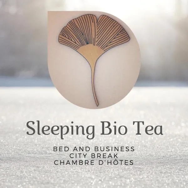 Sleeping Bio Tea，位于Zoufftgen的酒店