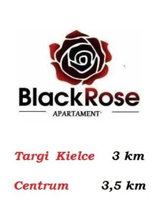 Black Rose APARTAMENT Targi 3 km, F-ry Vat，位于Podzamcze的酒店