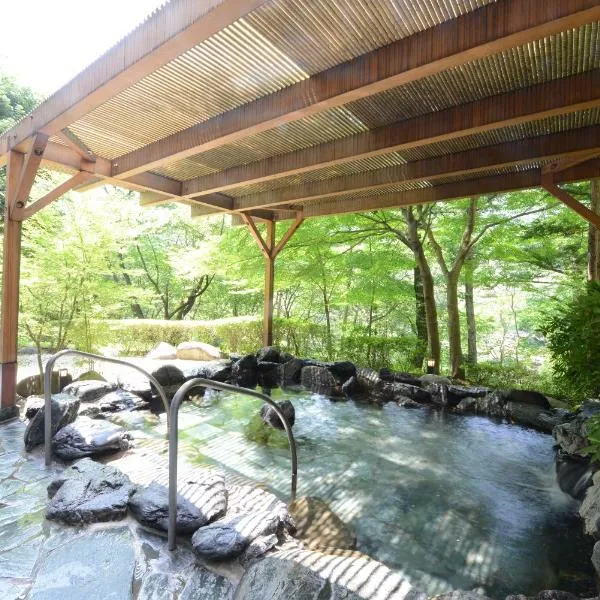 鬼怒川哈韦斯特度假酒店，位于日光的酒店