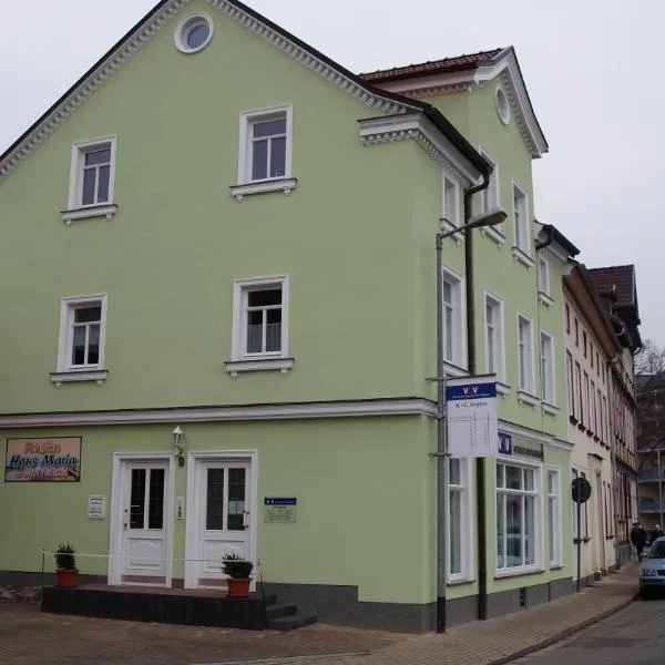 Pension Haus Maria，位于Niederorschel的酒店