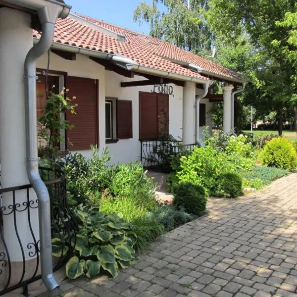 Villa Patio，位于帕廷斯的酒店