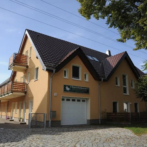 Beim Kahnfährmann，位于施莱普齐希的酒店