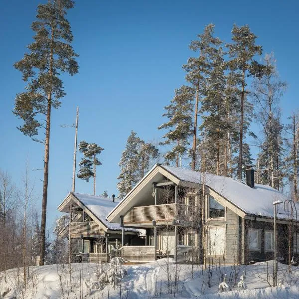 Pyry ja Tuisku Cottages，位于Säynätsalo的酒店