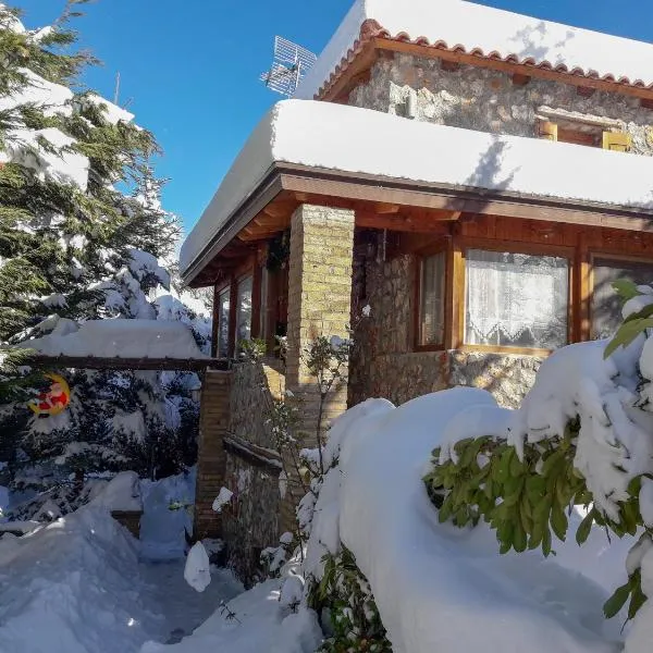 Livadi Chalet Arachova The perfect family vacation，位于特尔斐的酒店