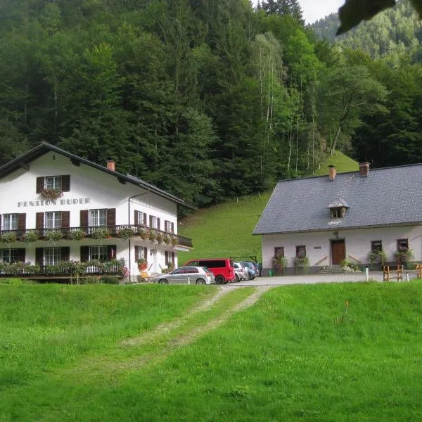 Ferienhaus Mendlingbauer，位于Hieflau的酒店