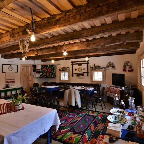 Iz de Maramures Rural Hotel，位于Şurdeşti的酒店