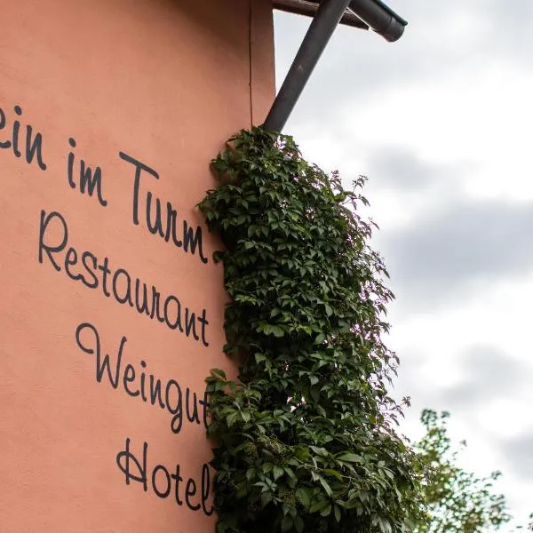 Gästehaus Wein im Turm，位于Naurath的酒店