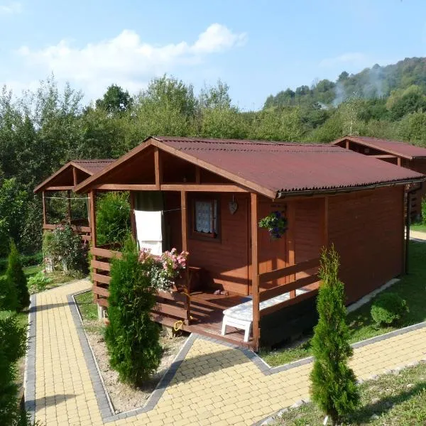 Domki letniskowe "Barbarki" Solina 99，位于索利纳的酒店