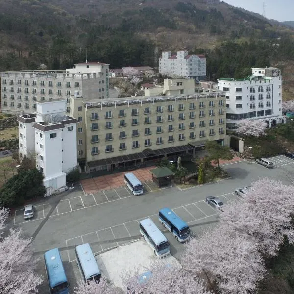 巨济绿洲酒店，位于Sinhyŏn的酒店