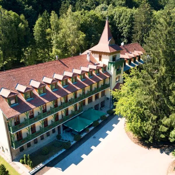 巴科尼酒店，位于Bakonyszücs的酒店
