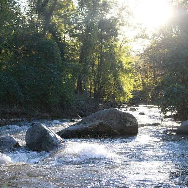 Riverside Lodge at Chimney Rock，位于Lake Lure Mountain Estates的酒店