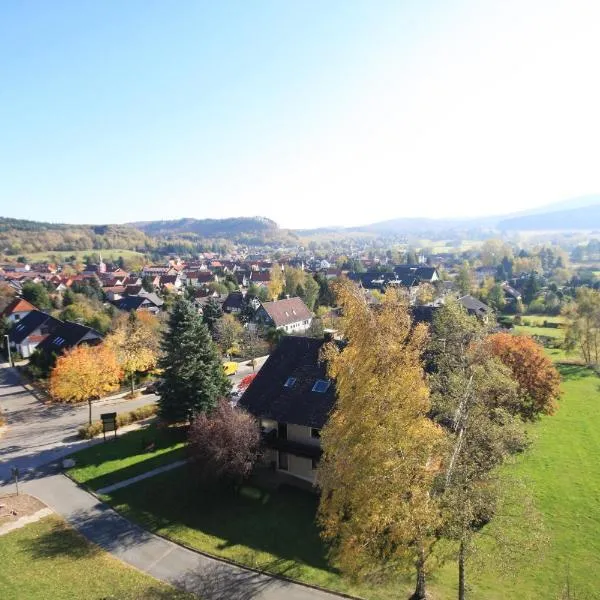 Der Wolfshof - Dein Zuhause im Harz，位于Hahausen的酒店