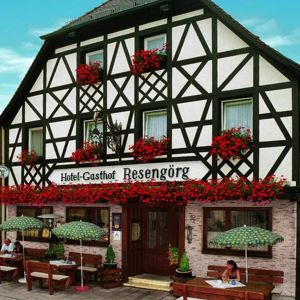 雷森古鲁格酒店，位于Birkenreuth的酒店