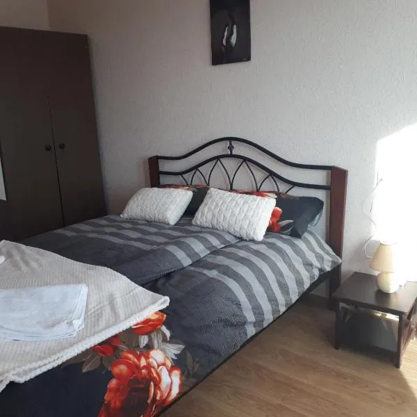 Ergli Apartment，位于Zvirbuļi的酒店