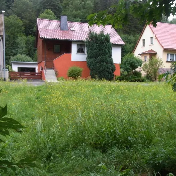 Fewo am Fuße der Bergbahn，位于Schwarzburg的酒店