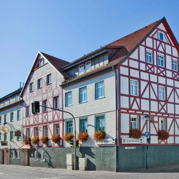 罗斯乐宾馆酒店，位于Erlenbach的酒店