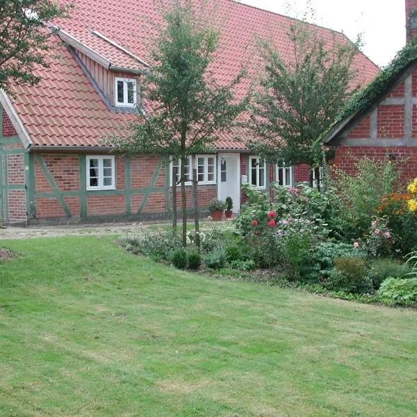 Ferienwohnung am Elbdeich，位于布莱克德的酒店