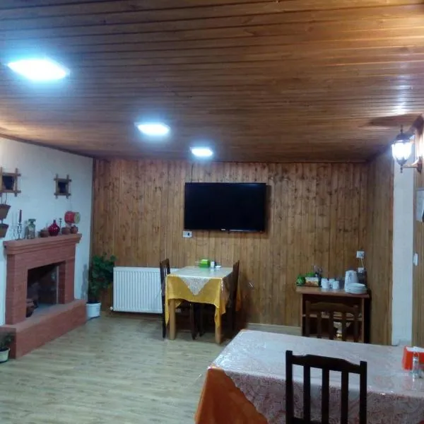 Tbilisi Downtown Guest House，位于第比利斯的酒店