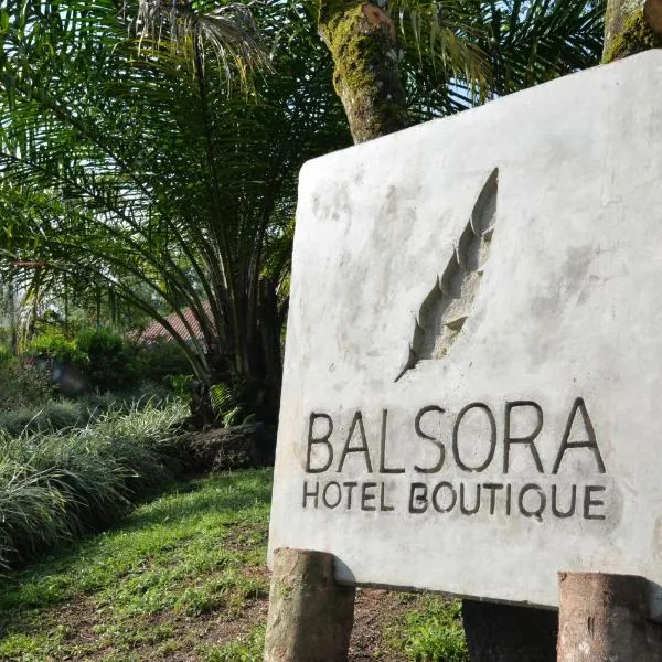 Balsora Hotel Boutique，位于La Palmita的酒店