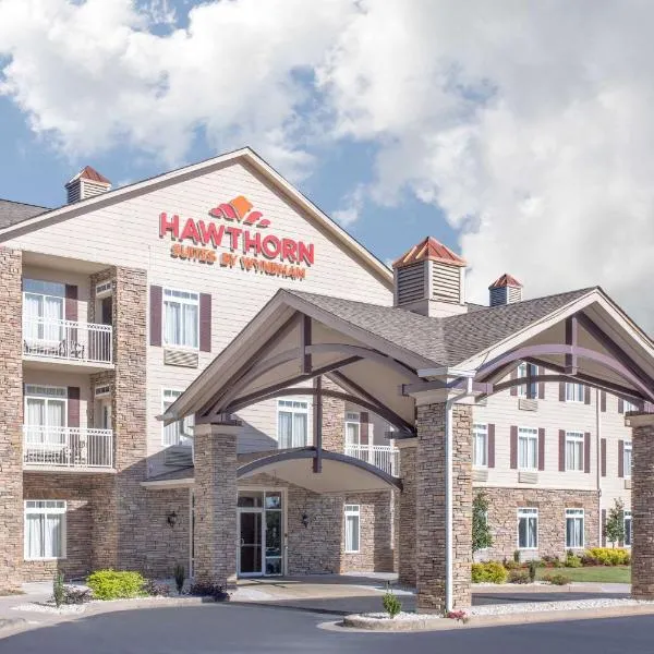 Hawthorn Extended Stay by Wyndham Conyers，位于卡温顿的酒店