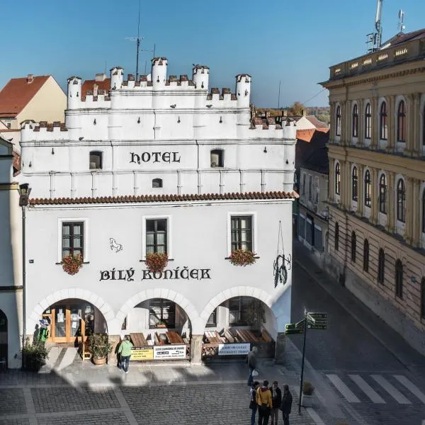 白小马酒店，位于Domanín的酒店