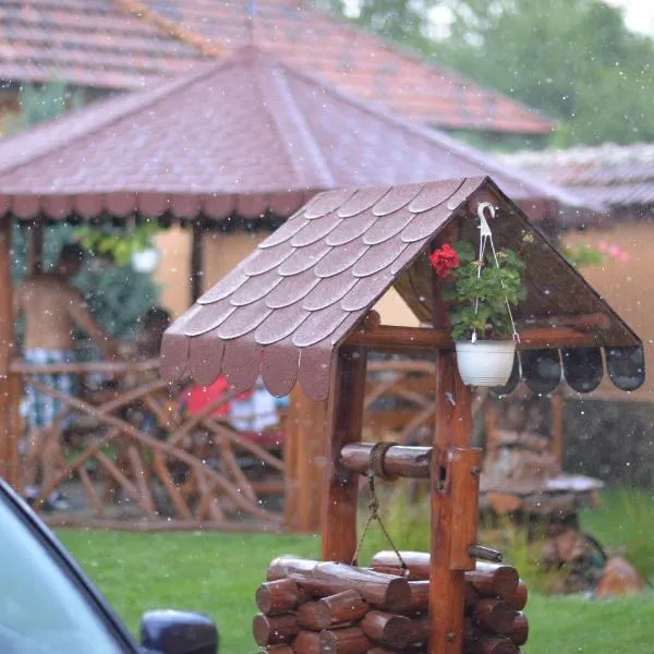 Country house Egomer，位于Vaşcău的酒店