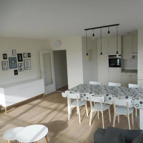 sandpiper De Panne，位于德帕内的酒店