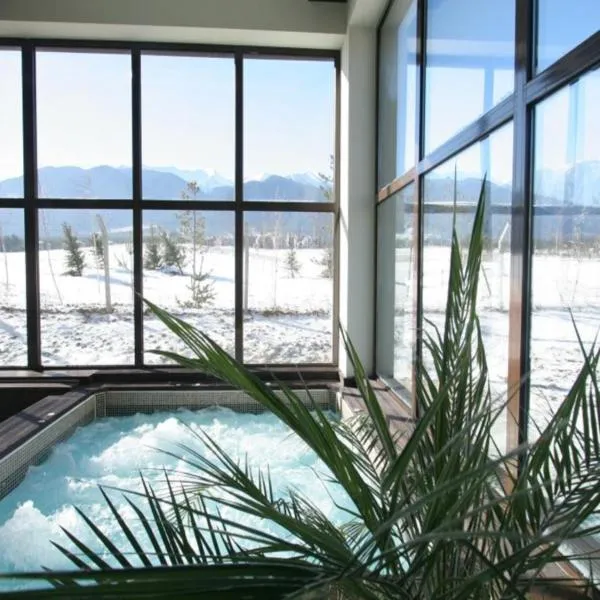 Terra Hotel，位于班斯科的酒店