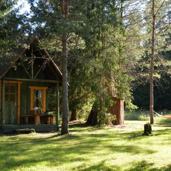 Saia Forest House，位于Mägede的酒店