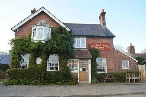 The Oak at Dewlish，位于Hazelbury Bryan的酒店