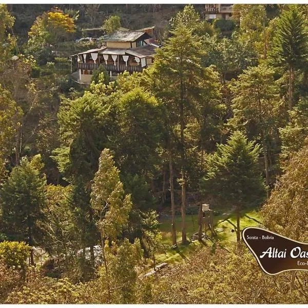 Altai Oasis Lodge，位于Sorata的酒店