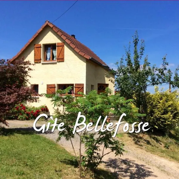 Maison independante de montagne en ALSACE，位于Bellefosse的酒店