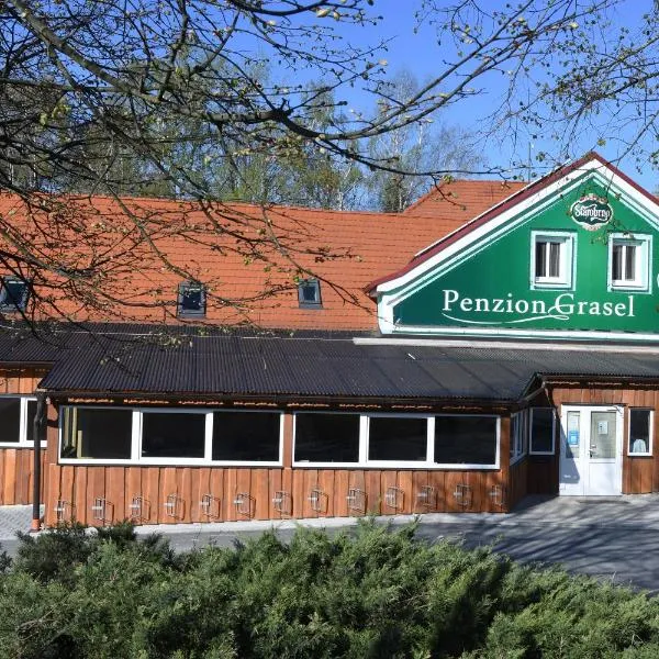 Penzion Grasel，位于Bohušice的酒店