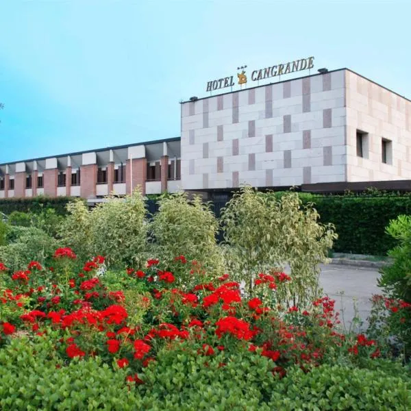 卡格蓝迪帝索亚维酒店，位于Santo Stefano di Zimella的酒店