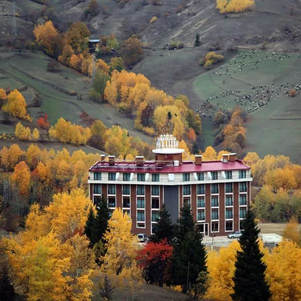 Black Forest Hotel，位于Savsat的酒店