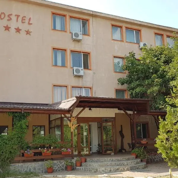 Hostel Horia，位于Plopeni的酒店