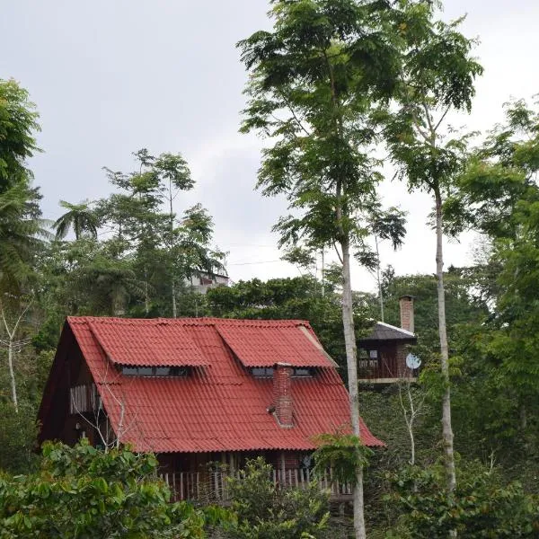 Cabañas los Cedros，位于Zapotitlán de Méndez的酒店