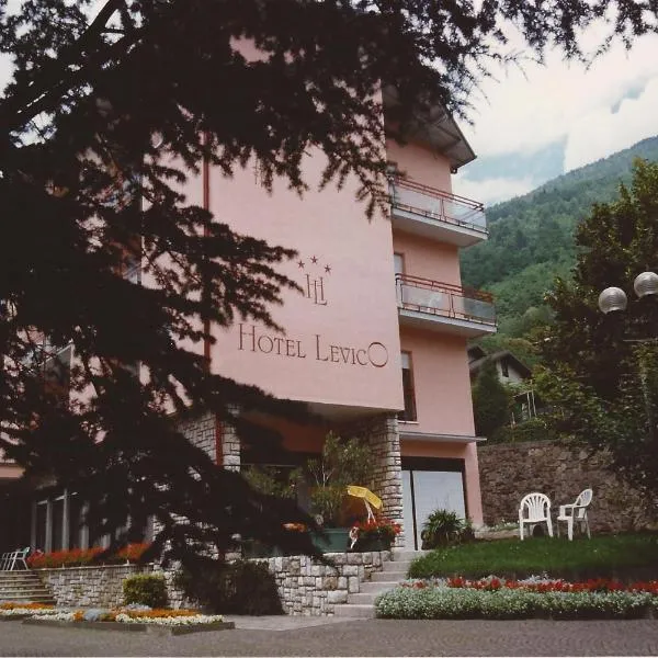 Hotel Levico，位于莱维科特尔梅的酒店