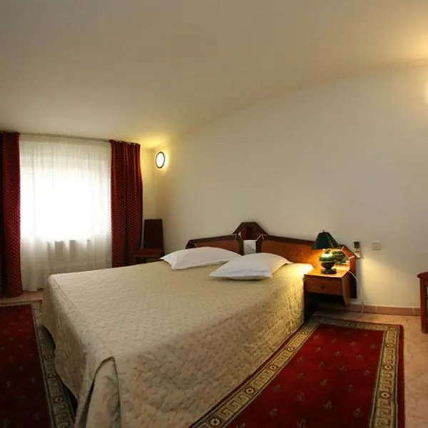 欧罗酒店，位于蒂米什瓦拉的酒店