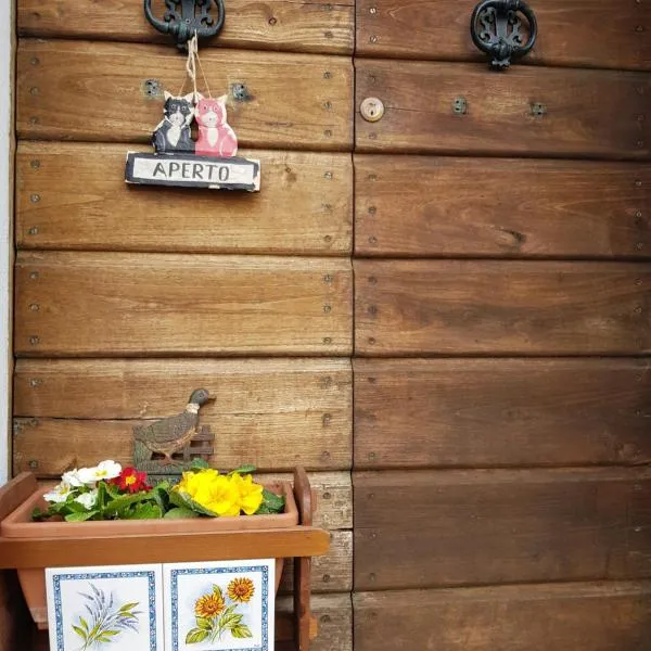 Monte degli Elci b&b，位于Toffia的酒店